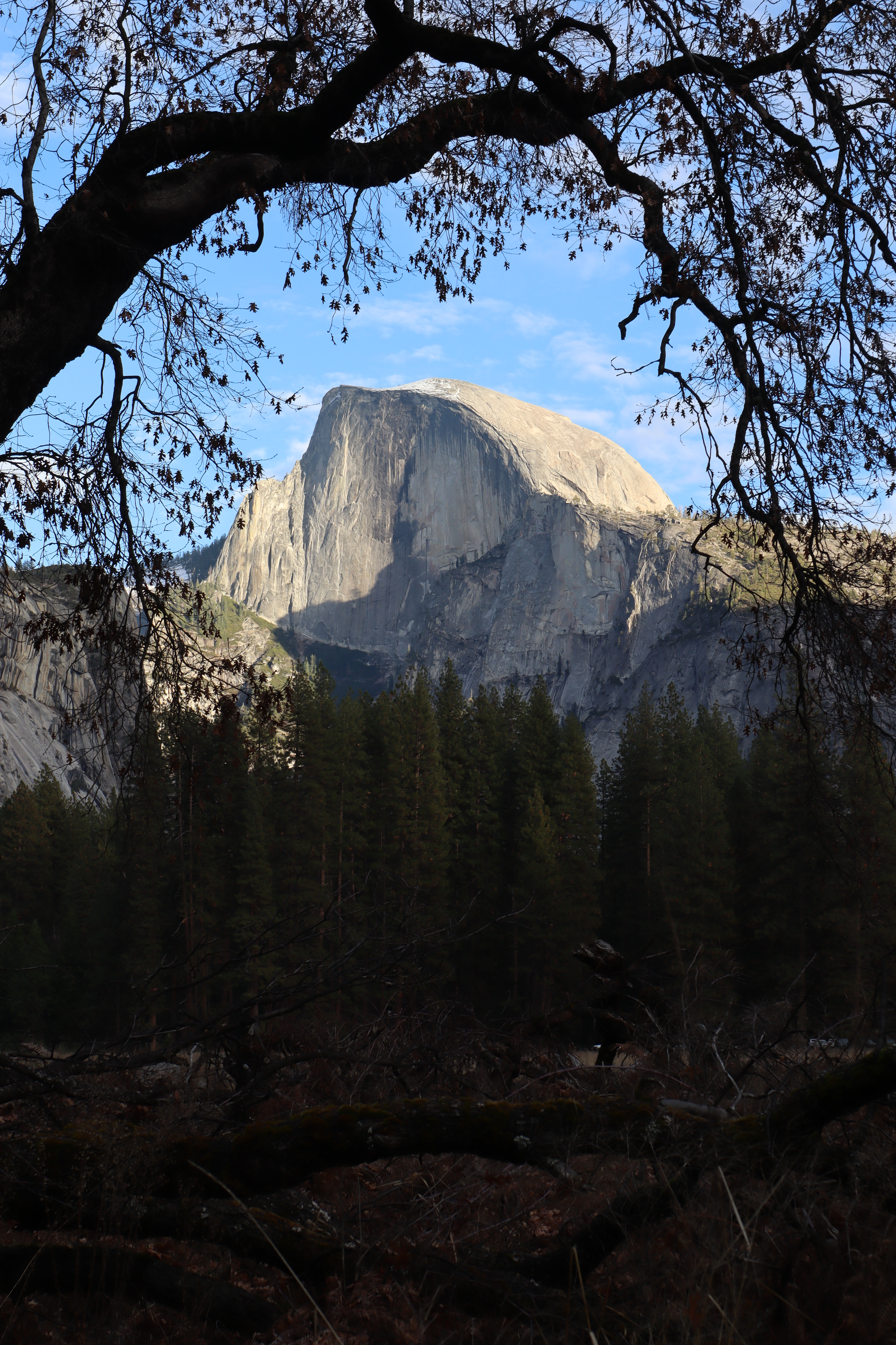 Yosemite National Park, California