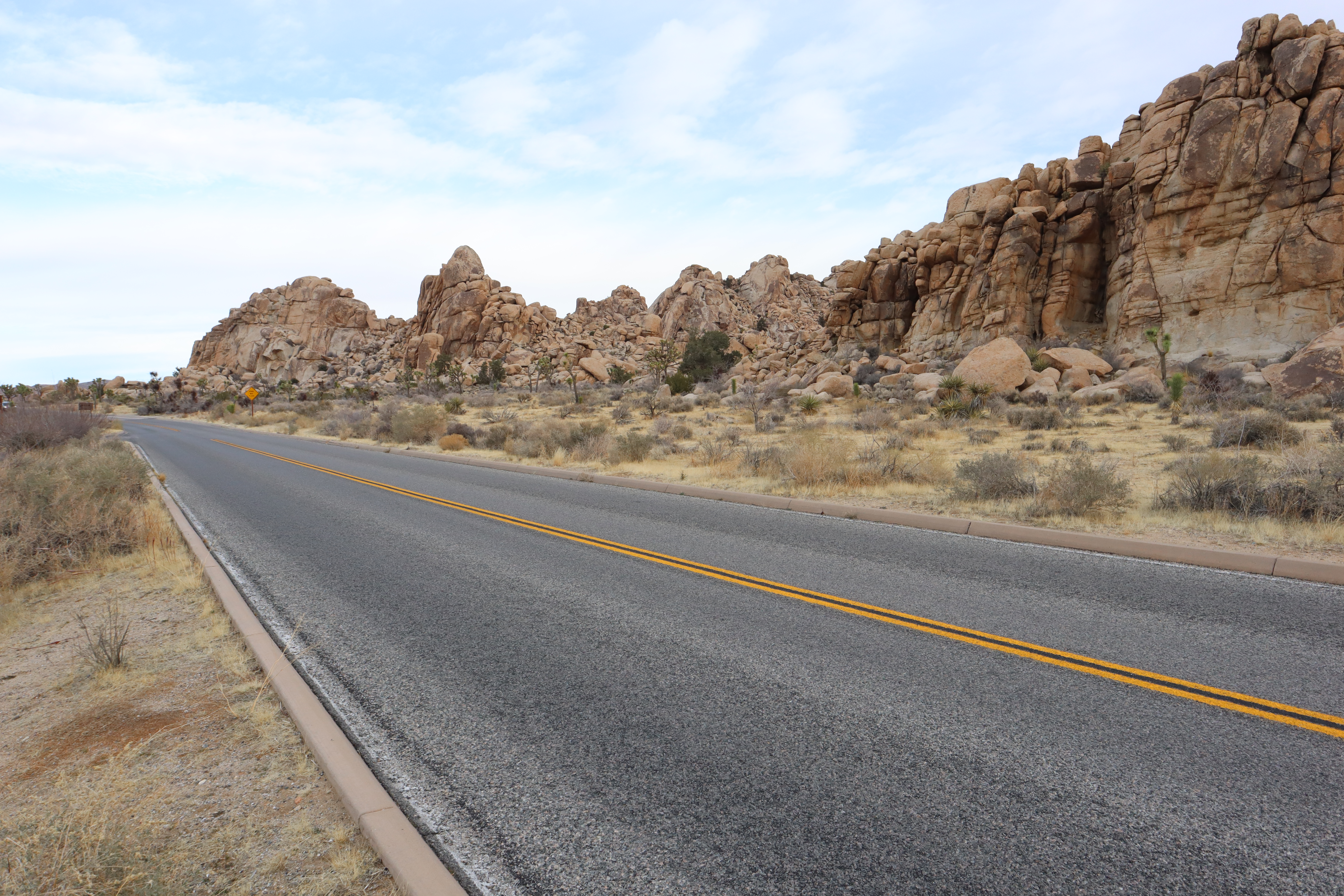 Joshua Tree, California