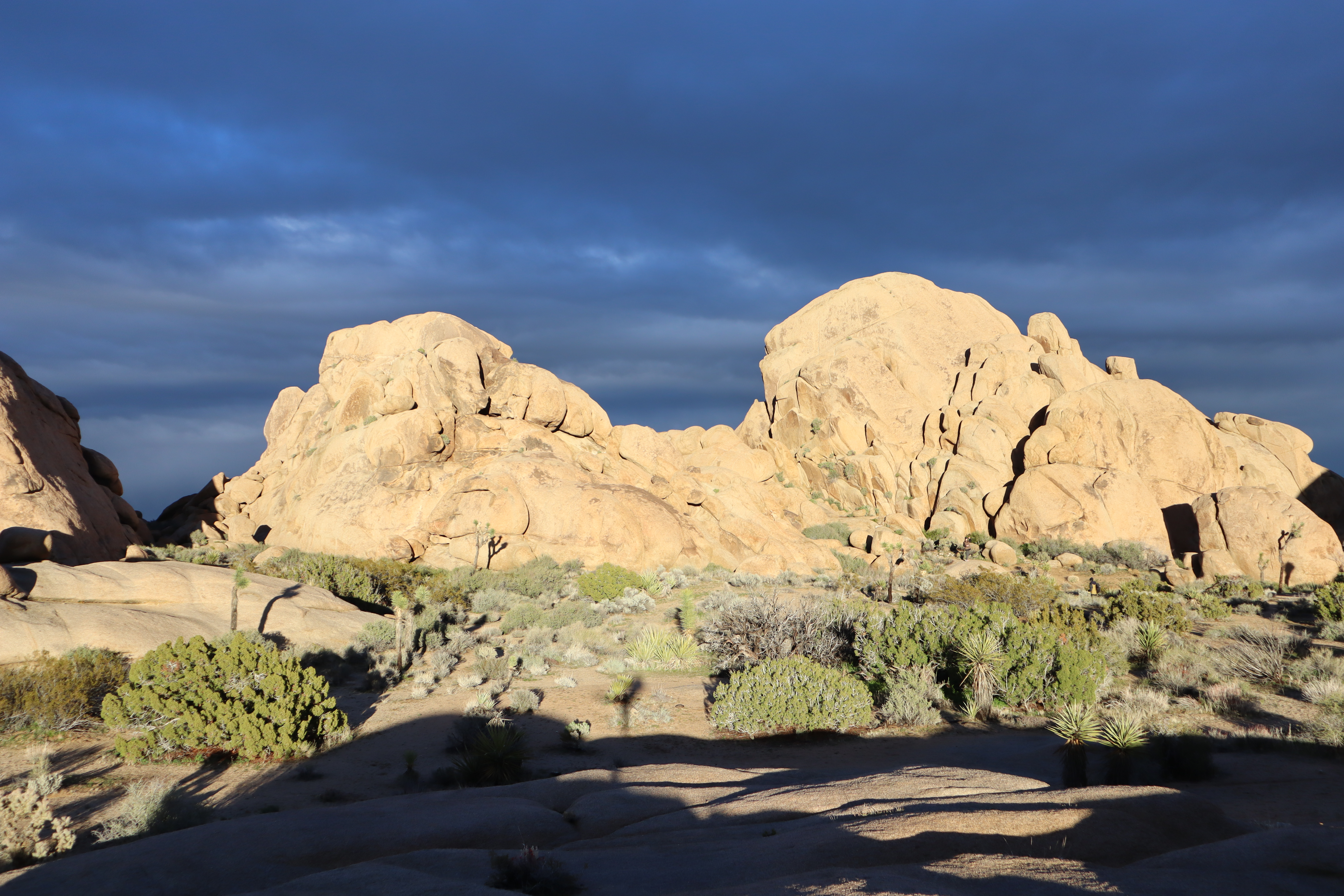 Jumbo Rocks, Joshua Tree National Park